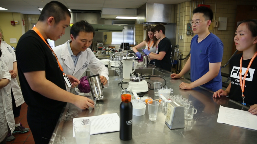 Students working in a lab with a professor
